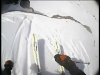 Run Freeride/Val thorens