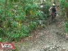 Truth & Beauty - MTB Trailer 3D Movie