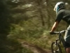 WOODS