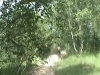 Un dimanche avec Martin...