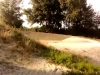 race de cran