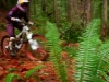 team transition