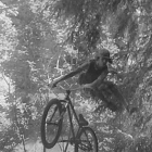 lastbike63