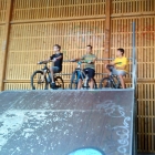 Freeridirt63