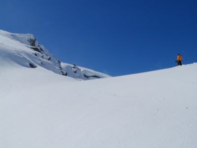 Zencureuils á la neige