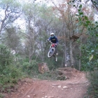 roulure