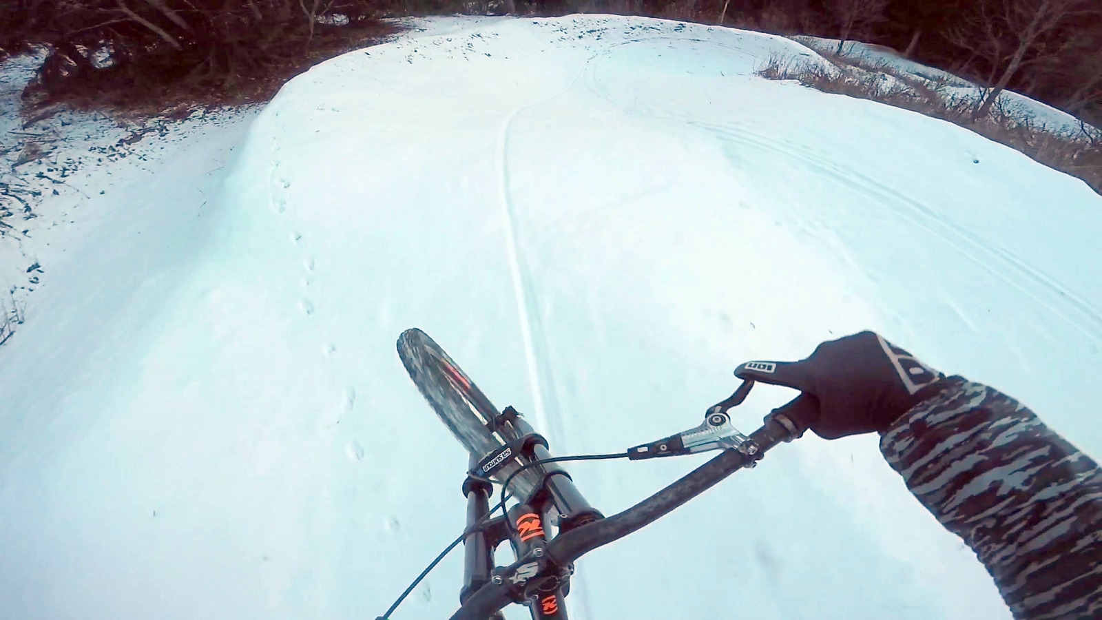 fabio wibmer snow